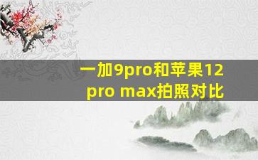 一加9pro和苹果12pro max拍照对比